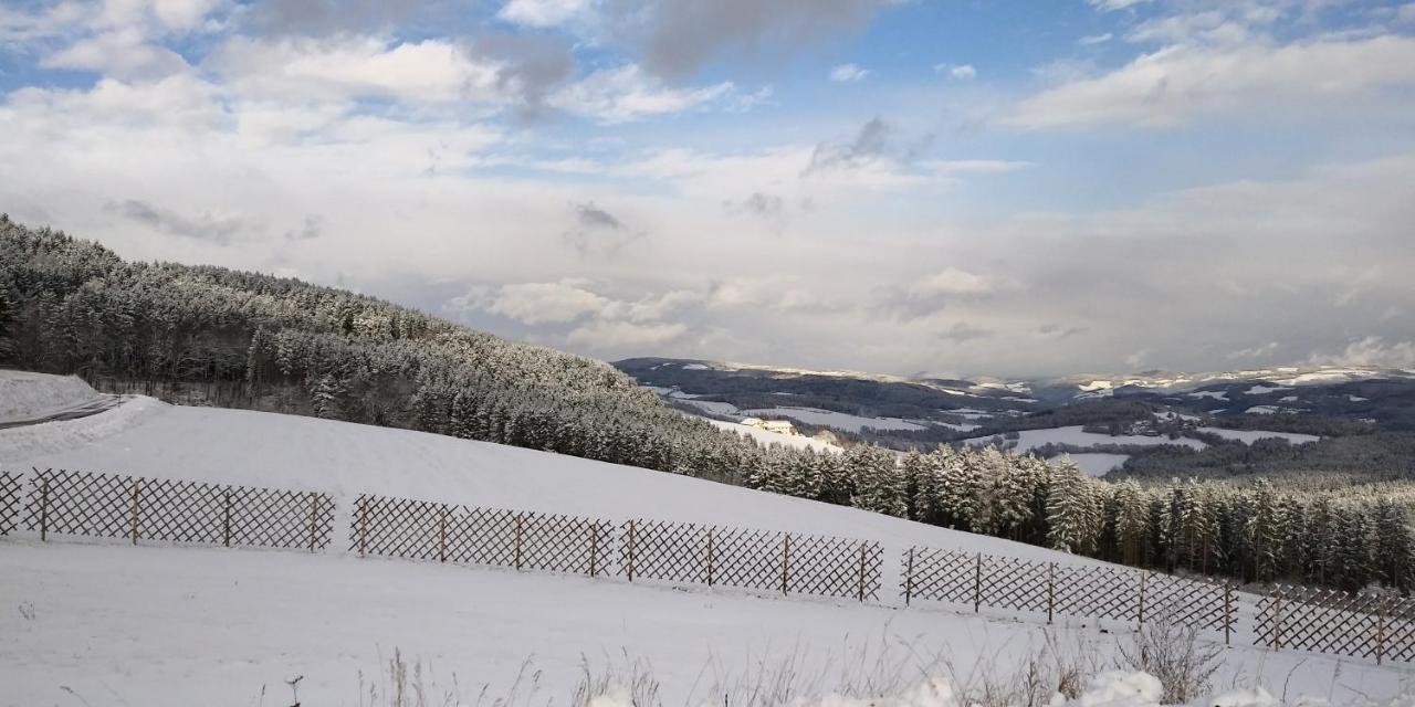 Wald-Panorama-Zimmer Bed & Breakfast Mönichkirchen Екстериор снимка