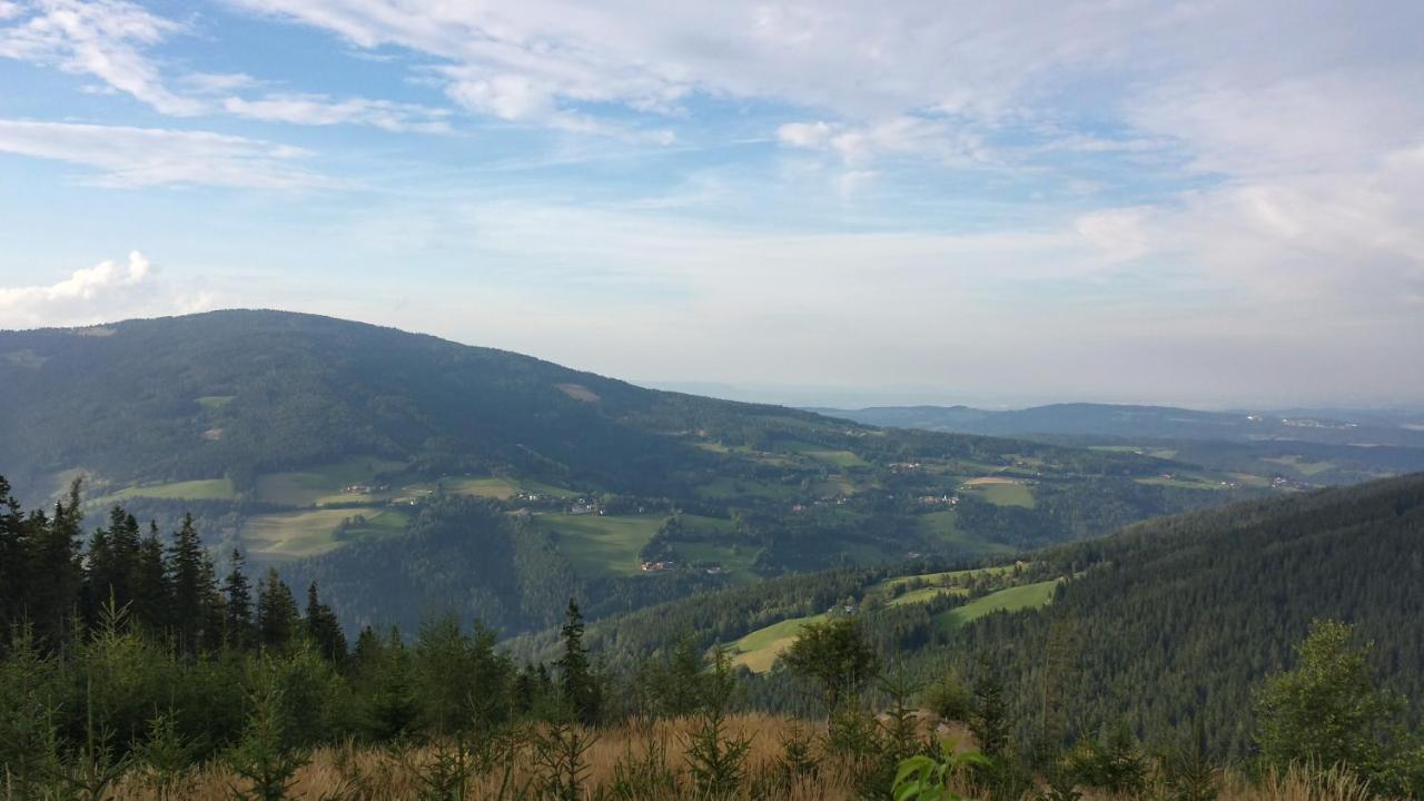 Wald-Panorama-Zimmer Bed & Breakfast Mönichkirchen Екстериор снимка